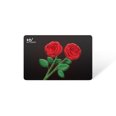 Chip F05 alla funzione luminescente inclusa Rfid Chip Card dello smart card